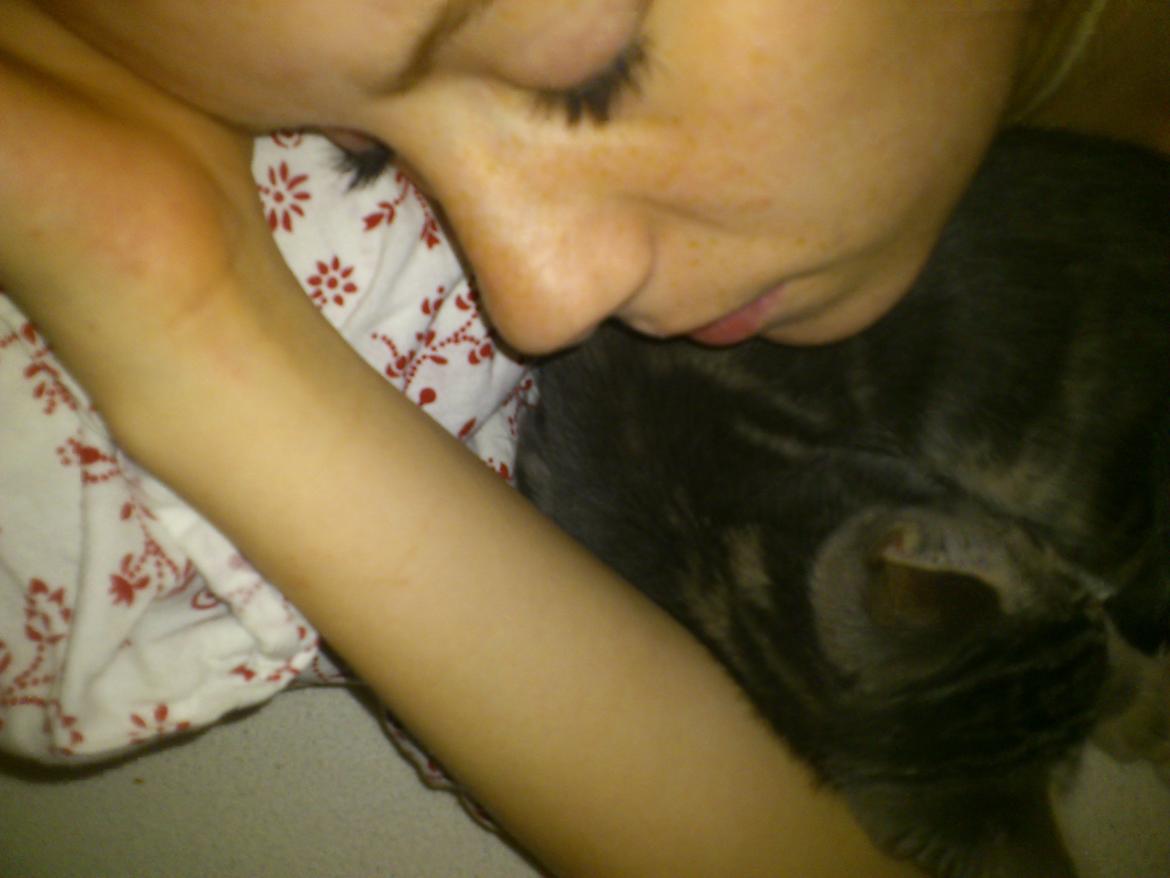 Blanding af racer Ronja Røverdatter ( Bliver kaldt Pooh) billede 5