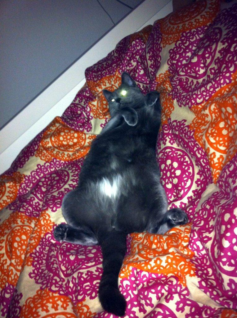 Huskat Frida - Det rene porno. I'm to sexy! Look a my sexy body billede 15