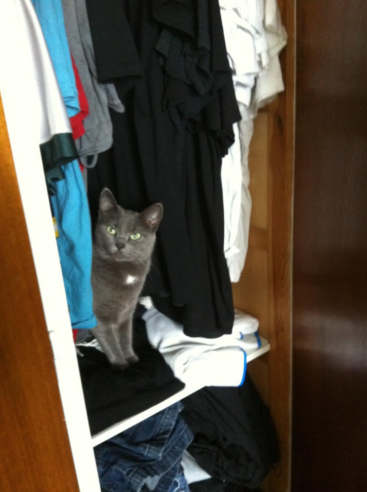 Huskat Frida billede 17