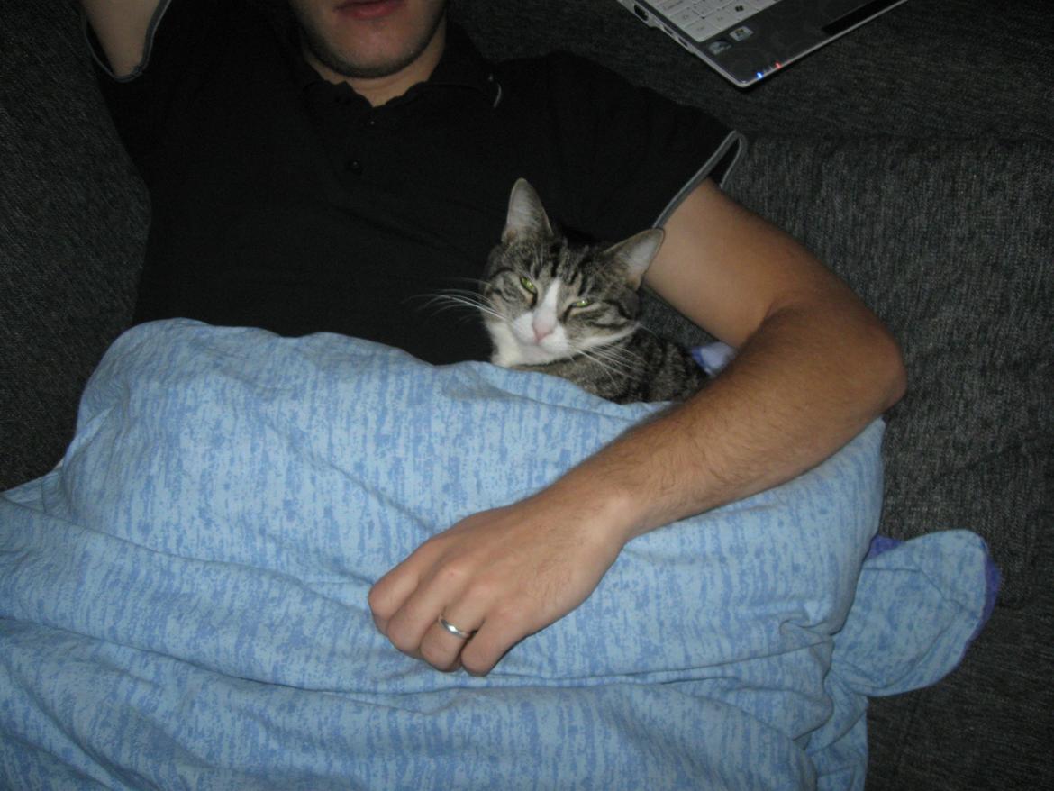 Blanding af racer Simba - Aftenhygge med far. billede 12