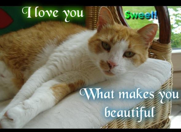 Huskat Mickey billede 9