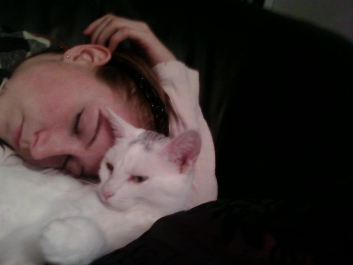 Blanding af racer Miss Snowball billede 4