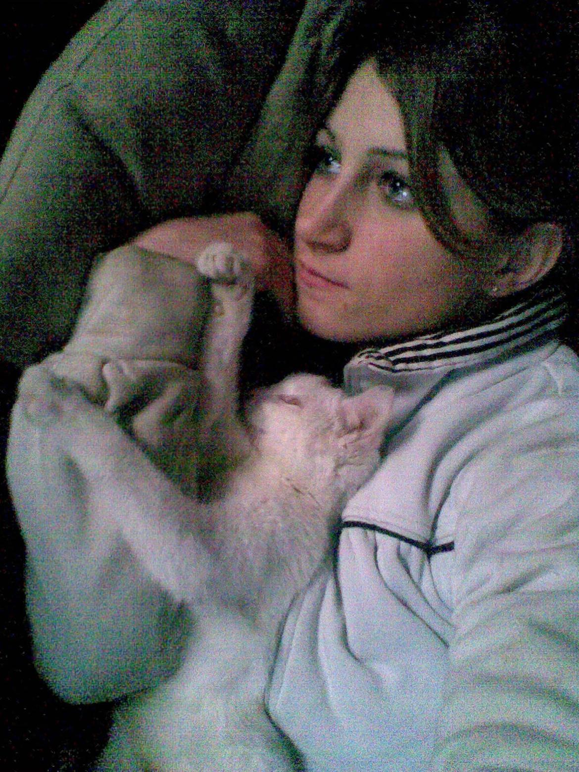 Blanding af racer Miss Snowball billede 19