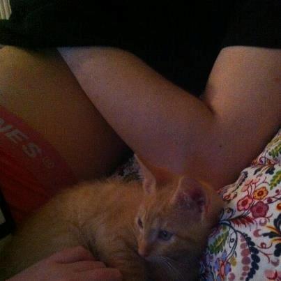 Huskat Mille - Uh ja - det bare skønt at lægge ved far! billede 4