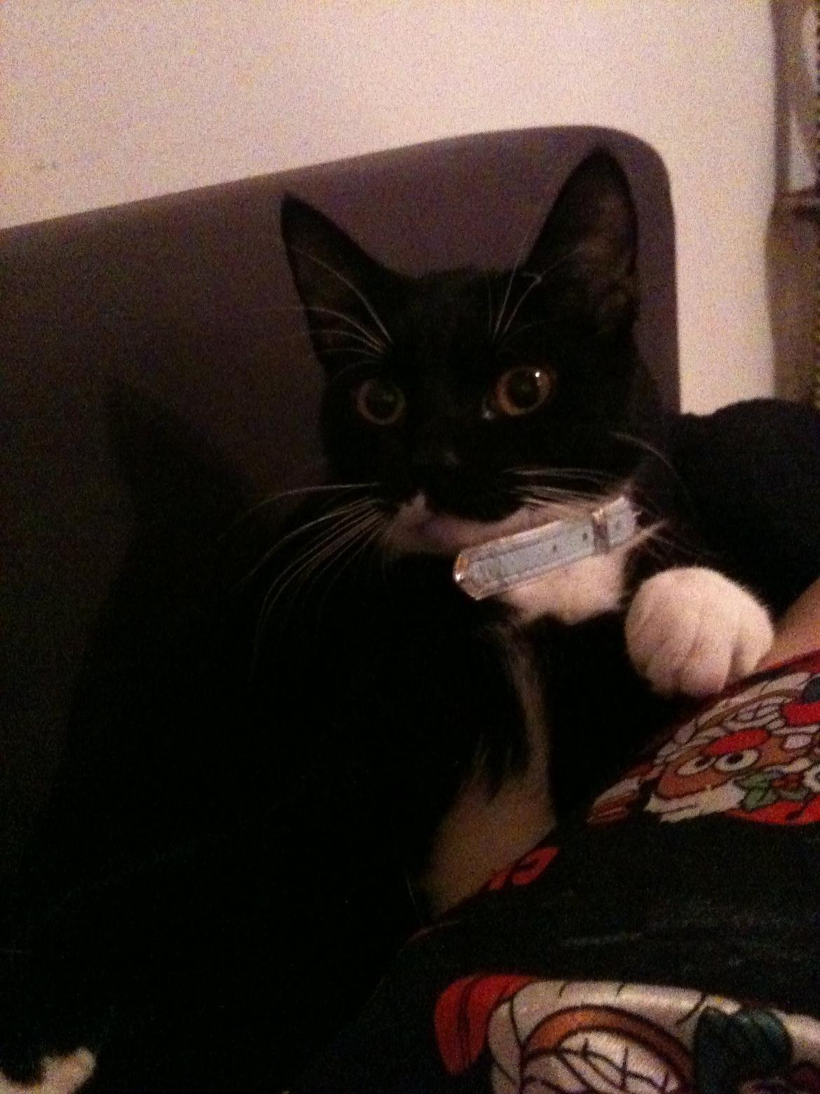 Huskat diablo billede 14