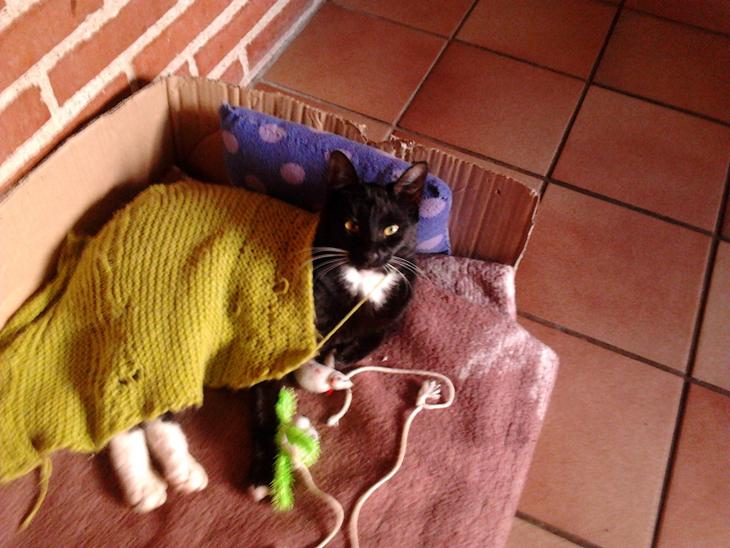 {{currentPhoto.altText}} billede {{currentPhoto.number}}