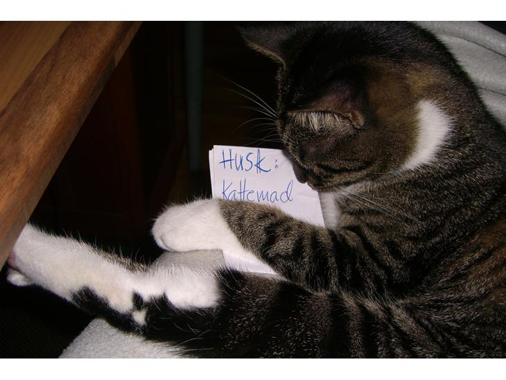 Huskat Mitten - 2011
Mitten minder os om de vigtigste indkøb... billede 1