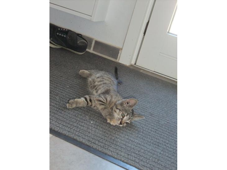 {{currentPhoto.altText}} billede {{currentPhoto.number}}