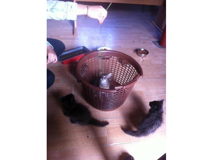 {{currentPhoto.altText}} billede {{currentPhoto.number}}