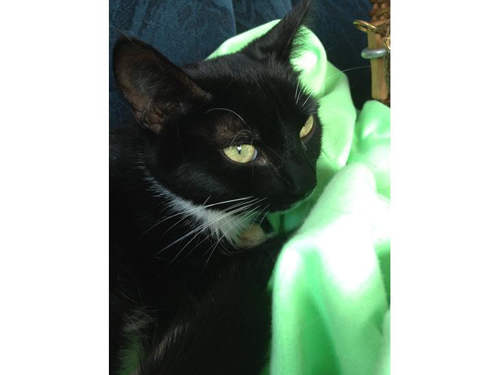 {{currentPhoto.altText}} billede {{currentPhoto.number}}