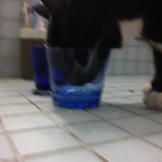 Blanding af racer Willy<3<3<3<3