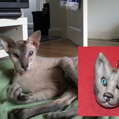 Peterbald Leander (Jay)