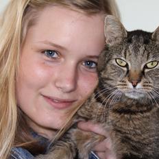 Blanding af racer Taz / minnimy.