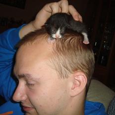 Blanding af racer Milo<3 R.I.P.<3