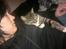 Huskat han katten Nanna