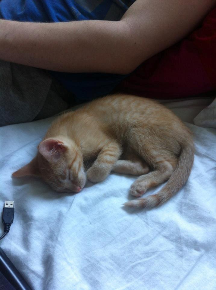 Huskat Mille - Igen - far er bare dejlig! billede 6