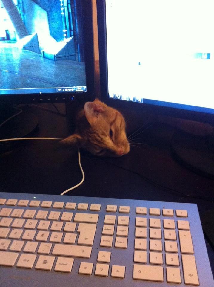 Blanding af racer Felix (Min Øjesten) - Felix, du holder da øje med alle nu om dage!!:) billede 13