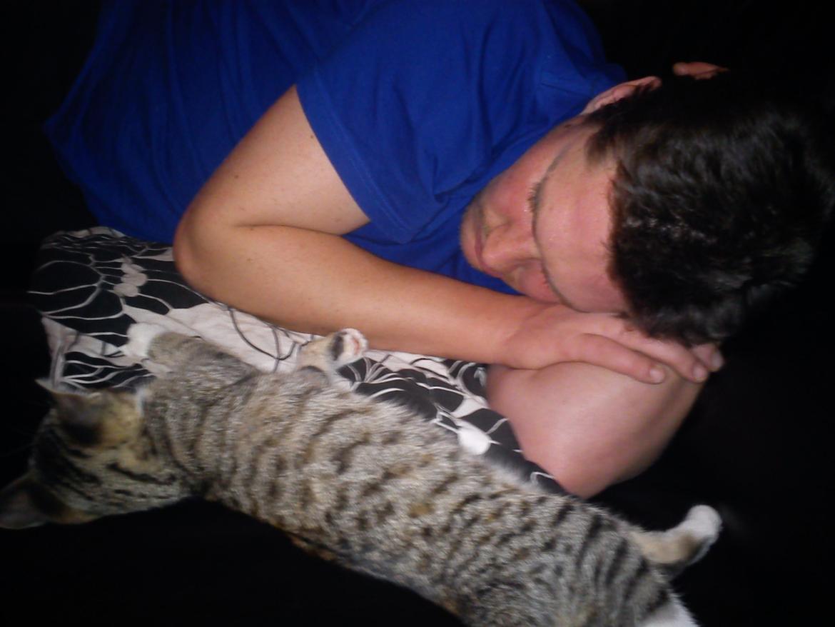 Huskat Sille billede 14