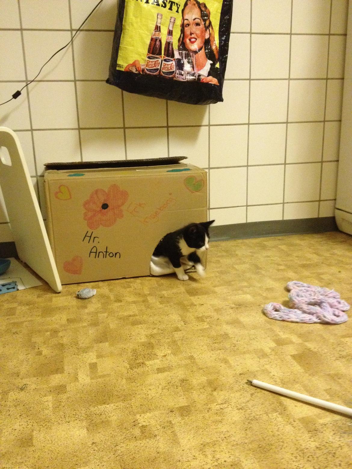 Huskat Hr. Anton billede 2