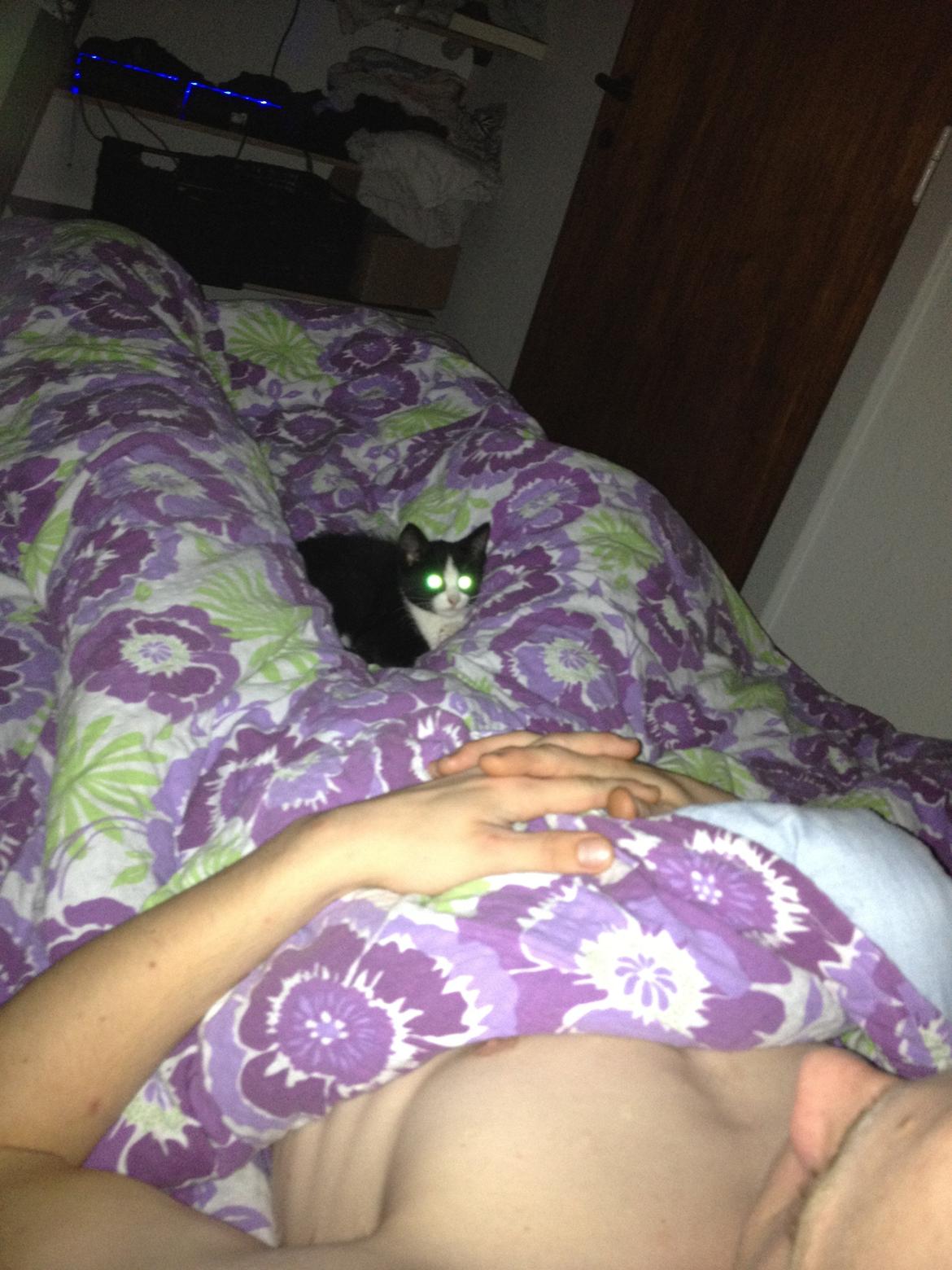 Huskat Hr. Anton billede 3