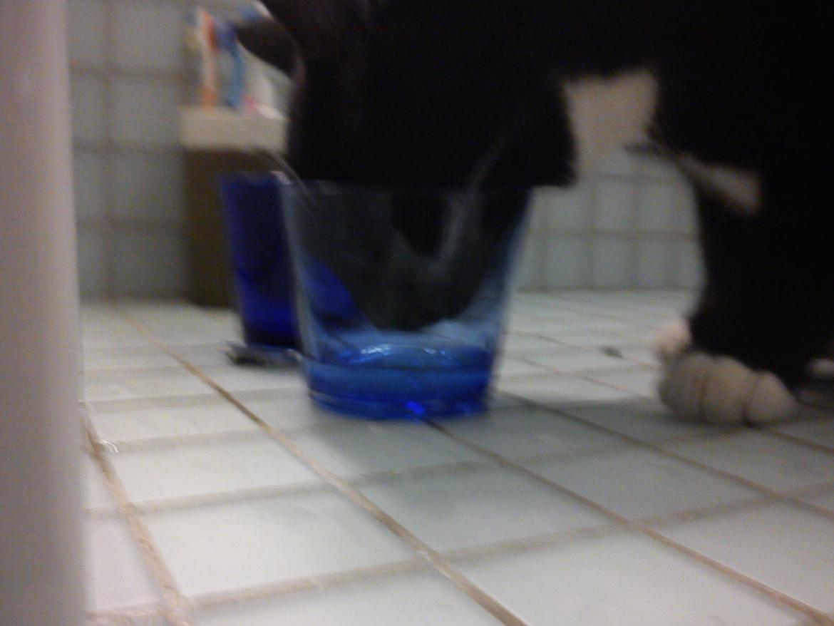 Blanding af racer Willy<3<3<3<3 billede 3