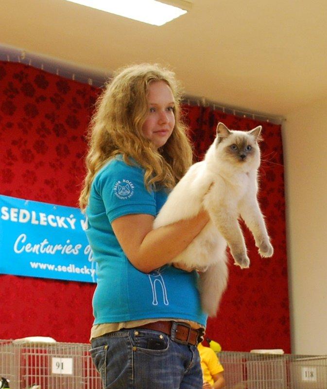 Ragdoll DK Big-Bang BigChrunch Yulla - Yulla under BIV show i Tjekkiet. billede 18