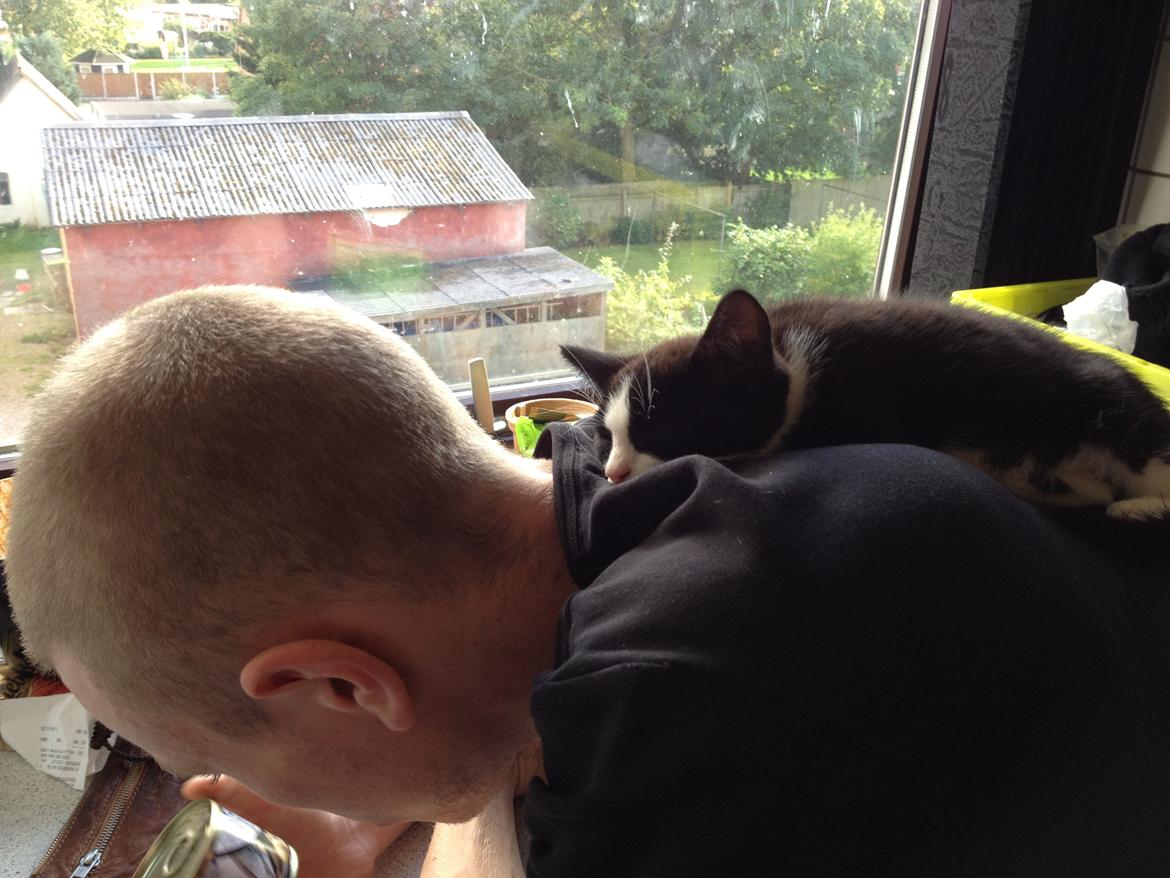 Huskat Hr. Anton billede 9