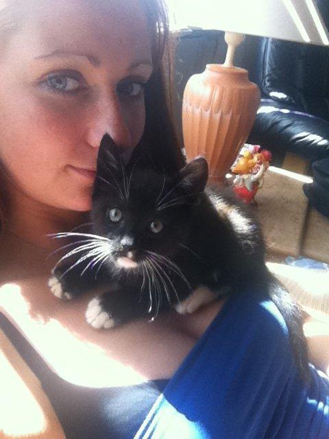 Blanding af racer Trold (R.I.P) .. ;'( billede 8