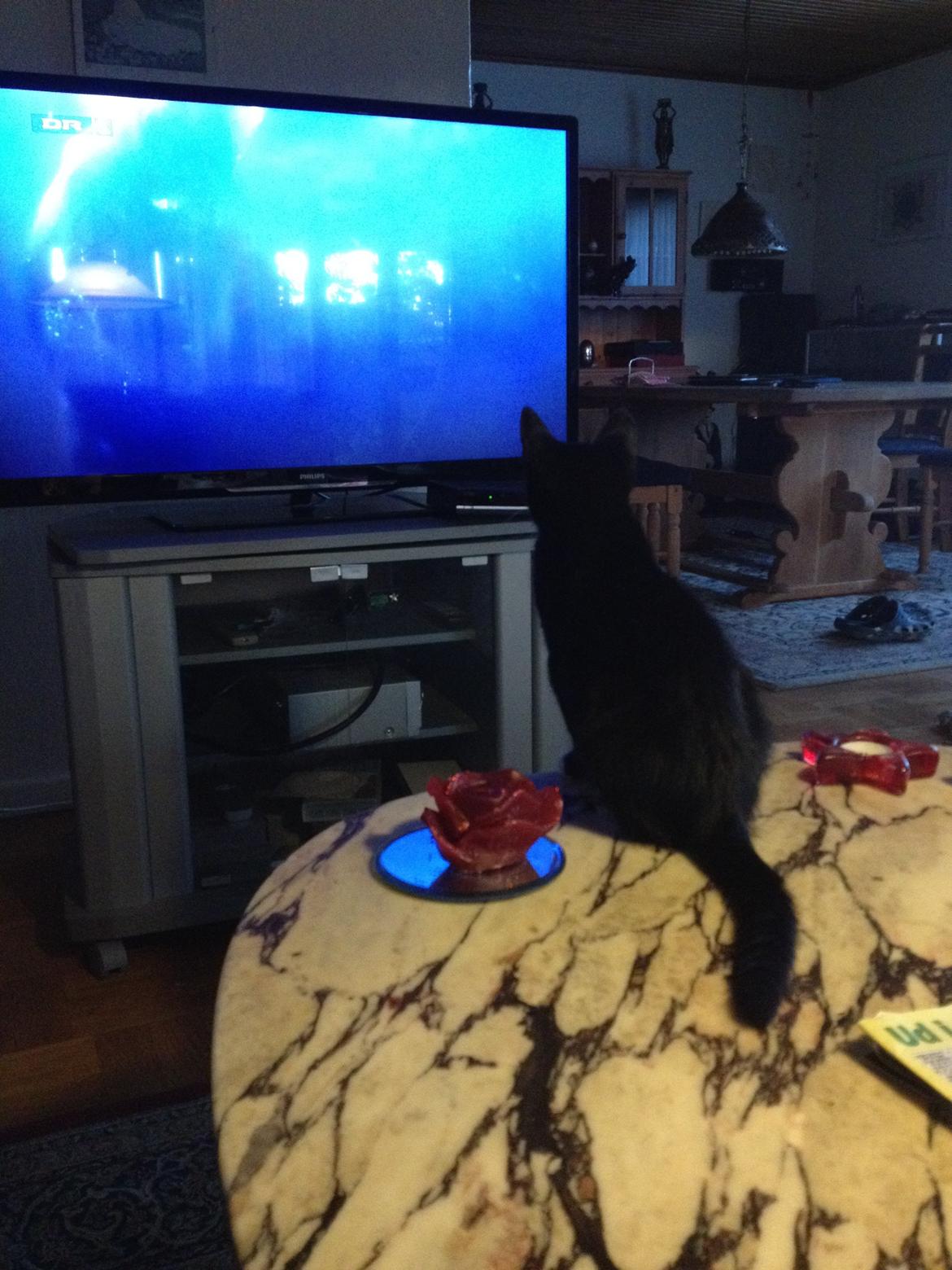 Blanding af racer Trold (R.I.P) .. ;'( billede 12