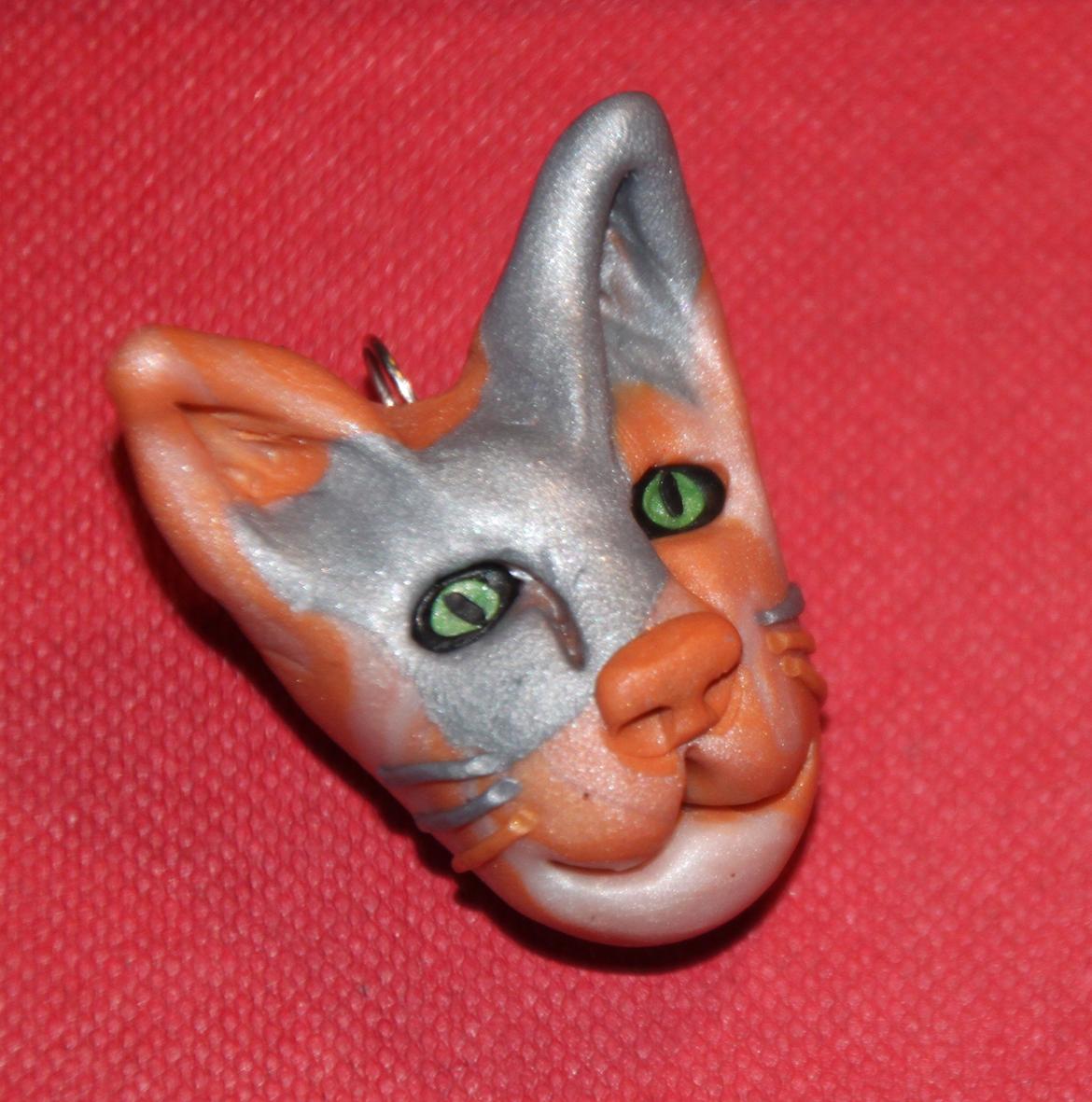 Sphynx Clara billede 3