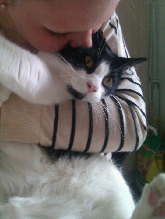 Blanding af racer Magnus (Shitface) billede 10