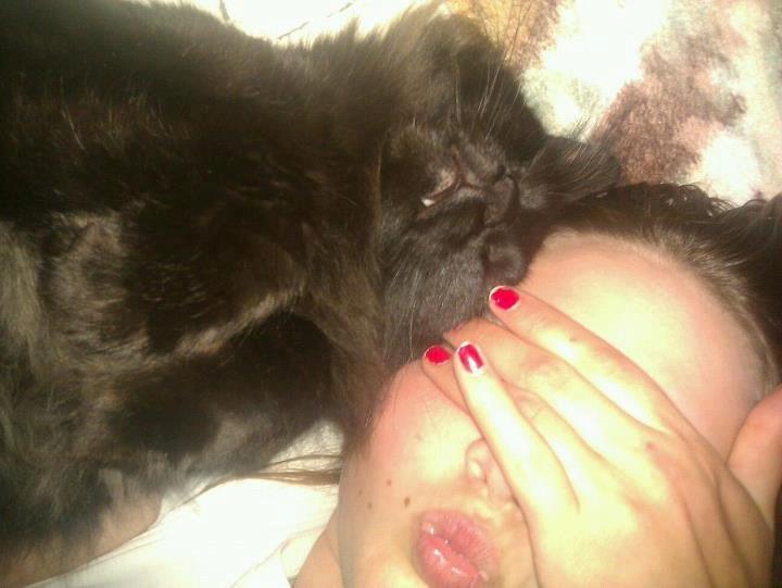 Blanding af racer Gustav (Fuckface) billede 9