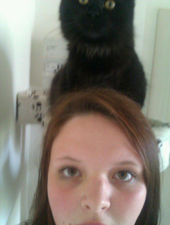 Blanding af racer Gustav (Fuckface) billede 10