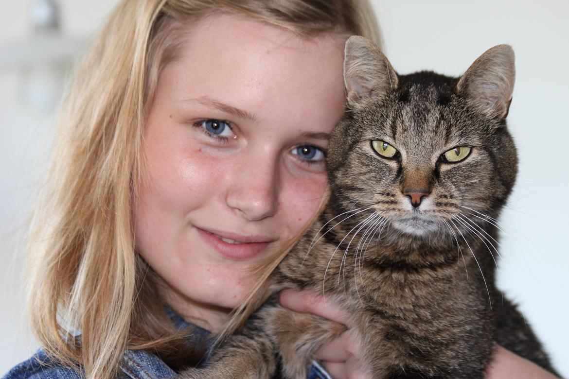 Blanding af racer Taz / minnimy. billede 1