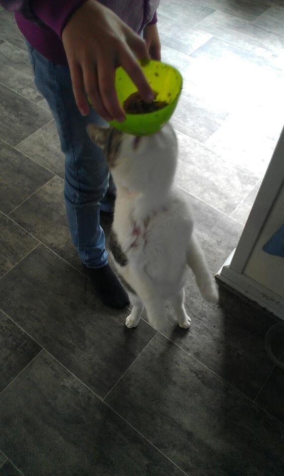 Huskat pepsi billede 1