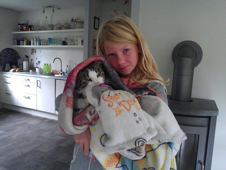 Huskat pepsi billede 8