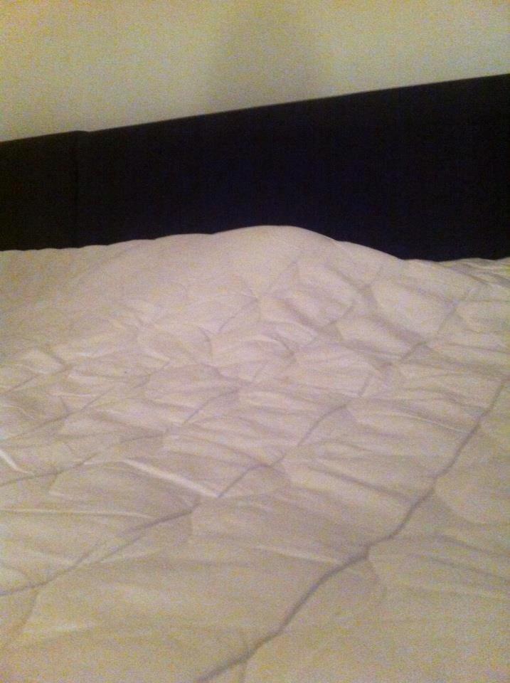 Huskat Mille - Hmmmm hvad der mon gemmer sig der?? billede 12