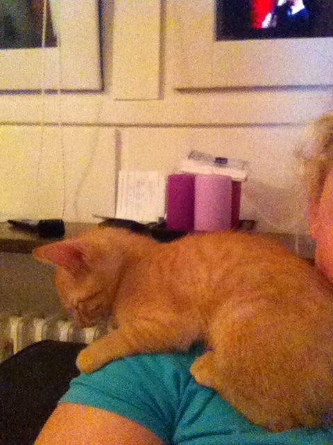 Huskat Mille billede 17