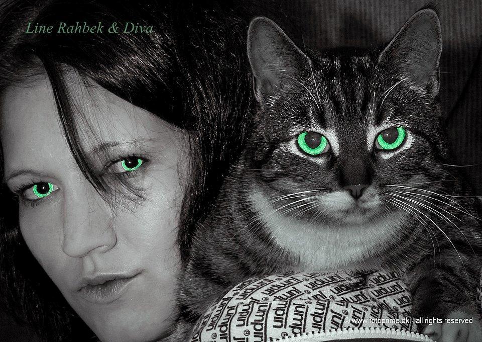 Huskat Diva billede 9