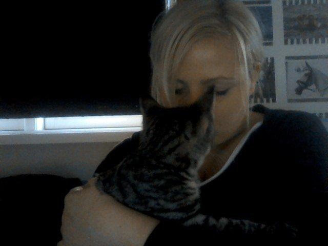 Huskat /Maine coon - Mille <3 billede 4