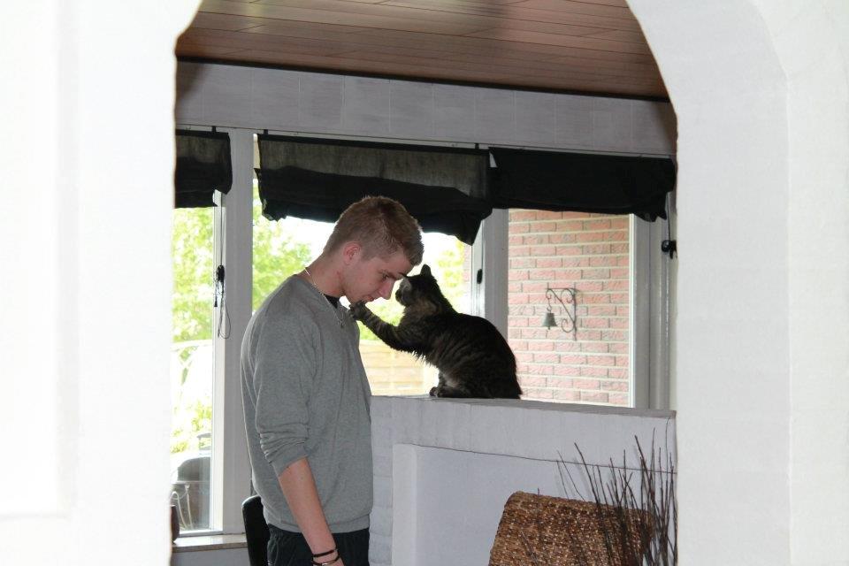 Maine Coon Basse billede 6