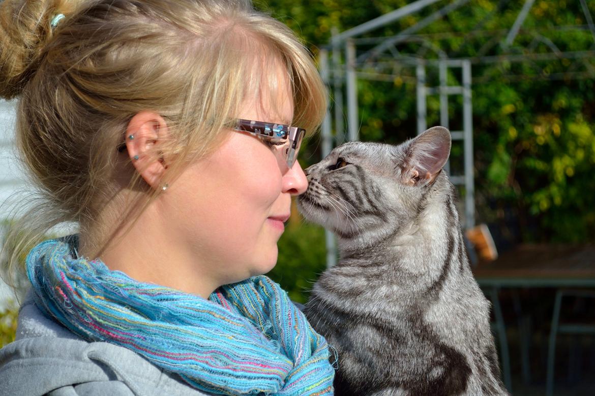 Europé Eife's Ebenezar McCoy - Kælepotten McCoy og jeg billede 3