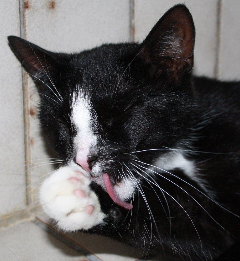 Huskat Nuzer<3 R.I.P.<3 - "We care about each other<3" billede 12