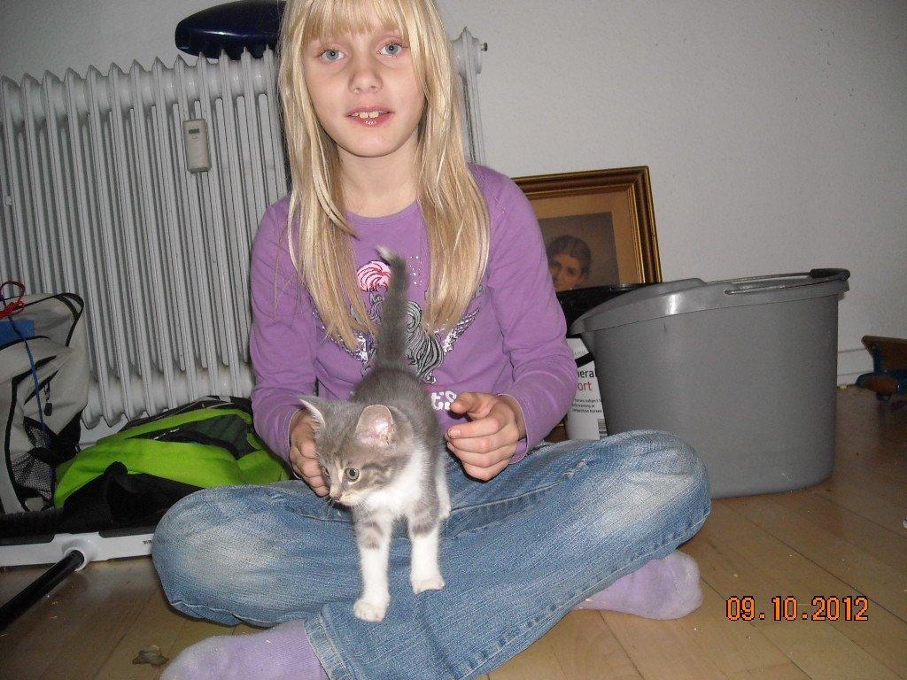 Huskat Bobby - Sidder hos Camilla.. billede 9