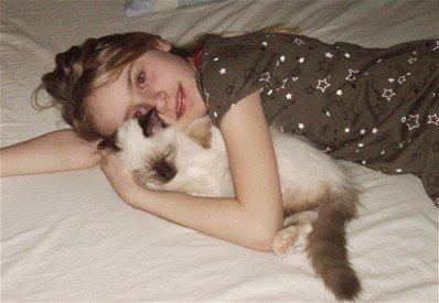 Hellig Birma Chiangmaus Gersimi billede 19