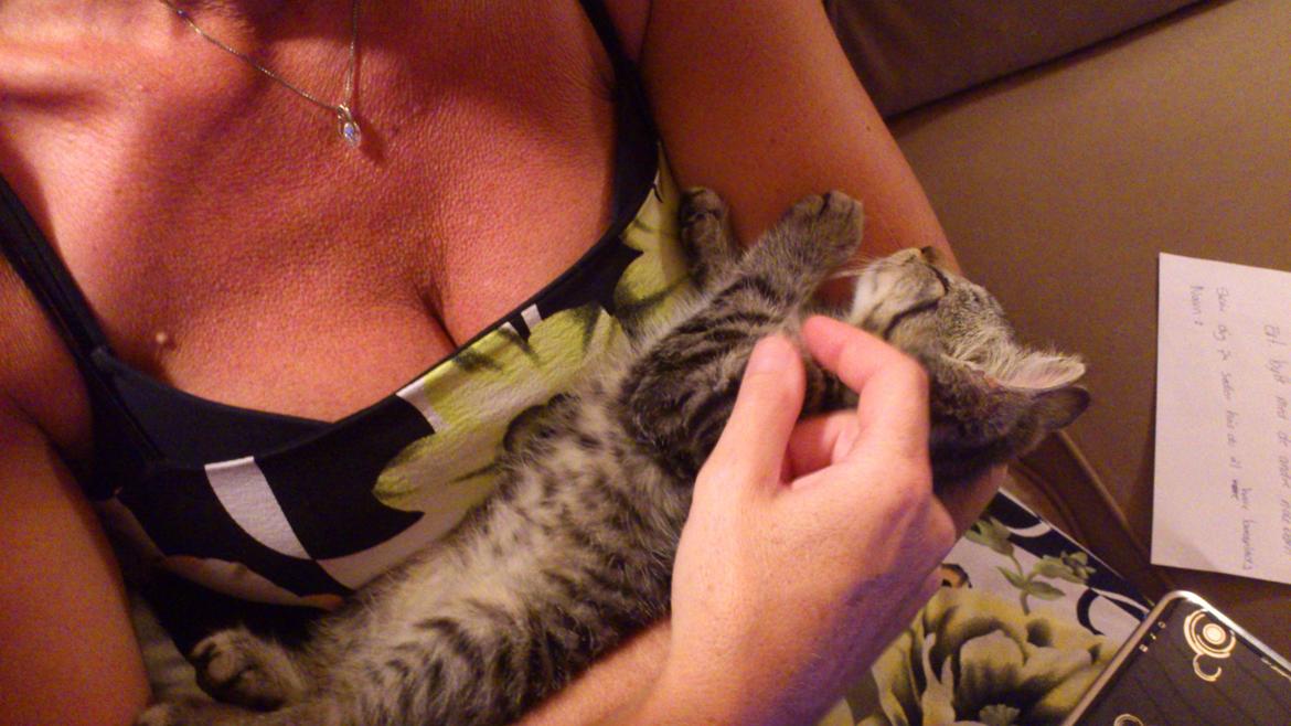 Huskat Tarzan - Farvel og tak for kigget <3
 billede 13