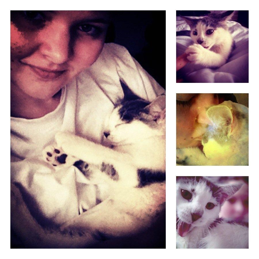 Blanding af racer James billede 2