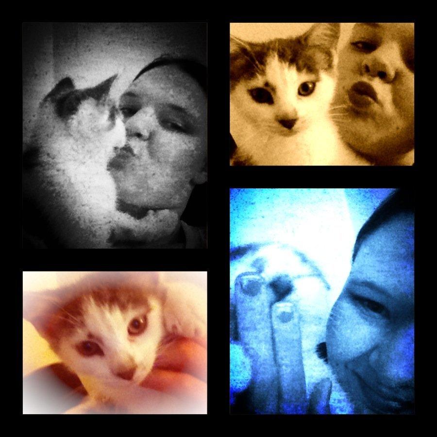 Blanding af racer James billede 4