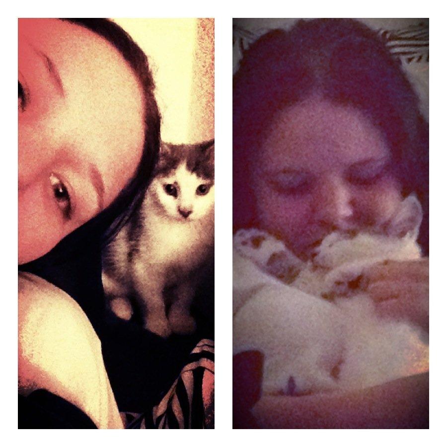 Blanding af racer James billede 5