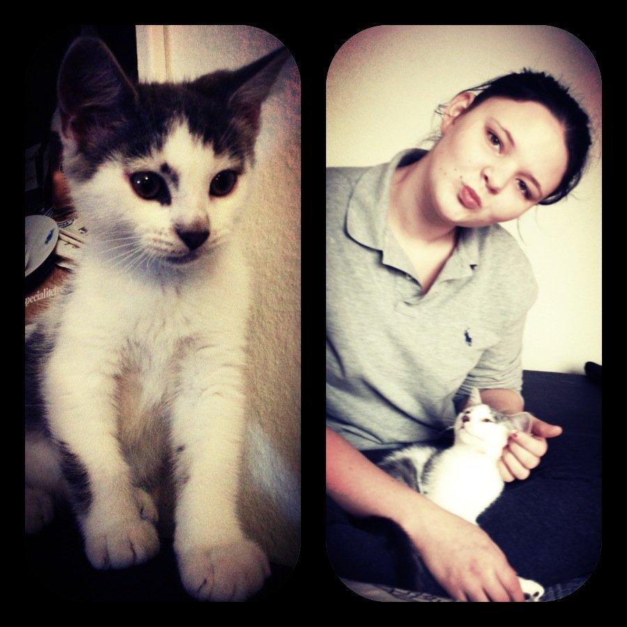 Blanding af racer James billede 6